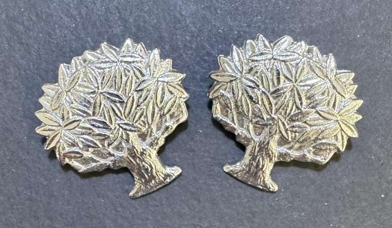 SADF - Regiment Vrystaat Collar Badges