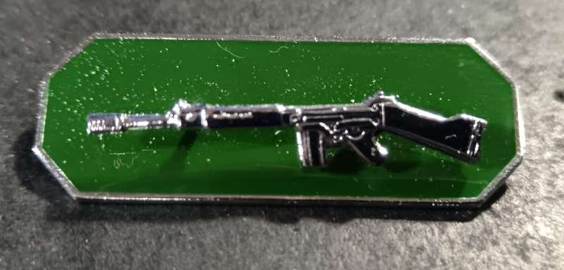 SA Correctional Services Silver Marksman Badge