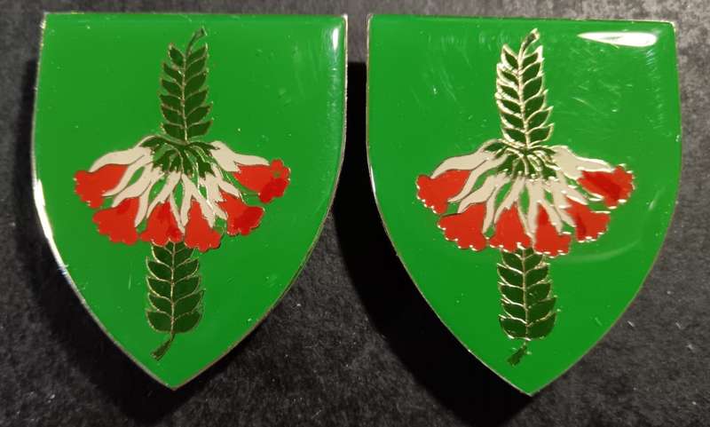 SADF - Caledon Commando Shoulder Flash Pair