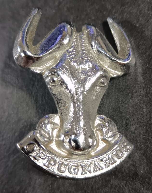 SADF - Regiment Port Natal Cap Badge
