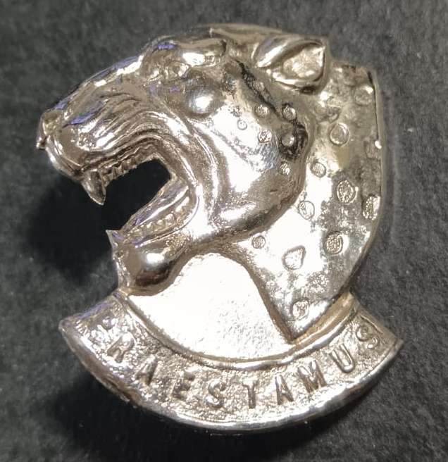 SADF -  121 Battalion Cap Badge