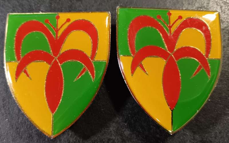 SADF -  Group HQ Shoulder Flash Pair