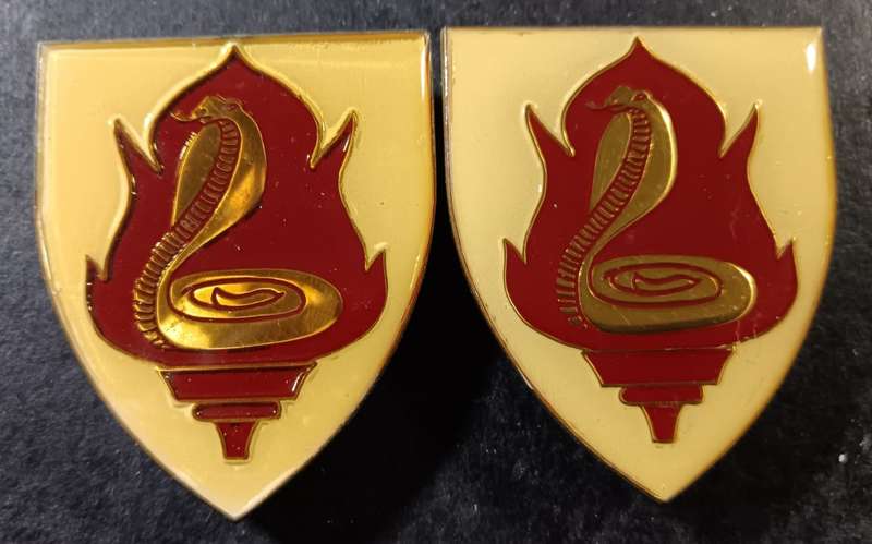 SADF - SAMS College Shoulder Flashes