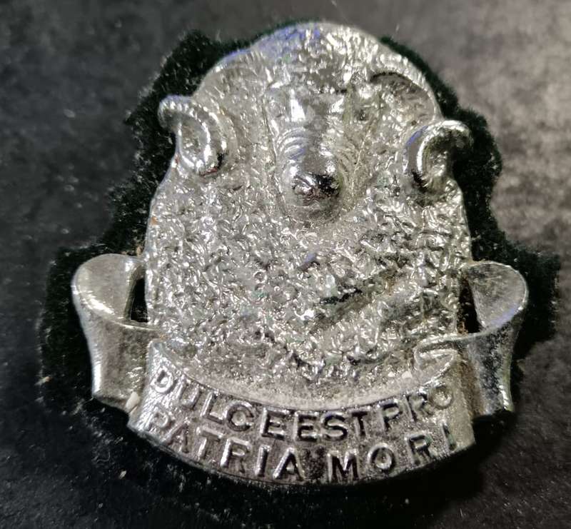 SADF - Regiment Groot Karoo Cap Badge with Backing