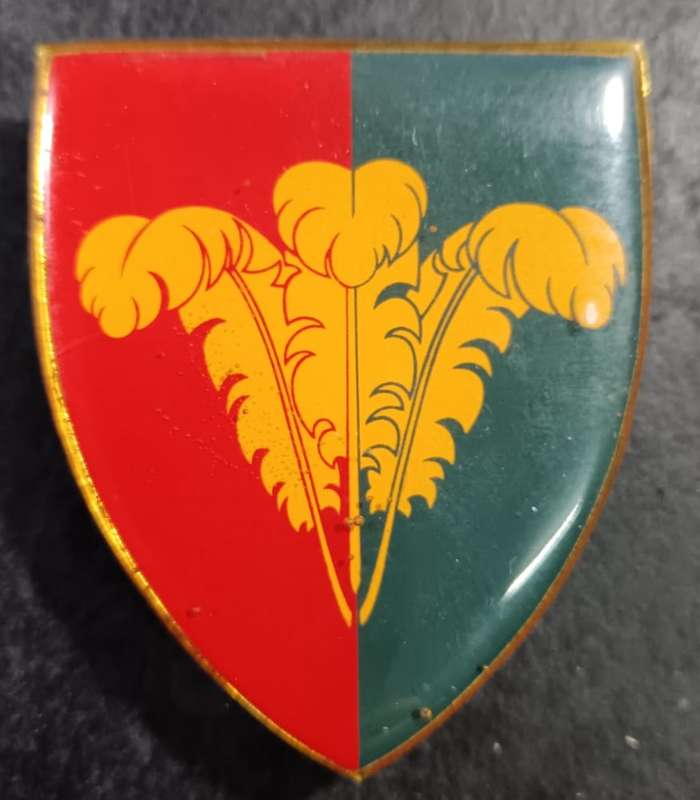 SADF - Southern Cape Command Workshop Shoulder Flash