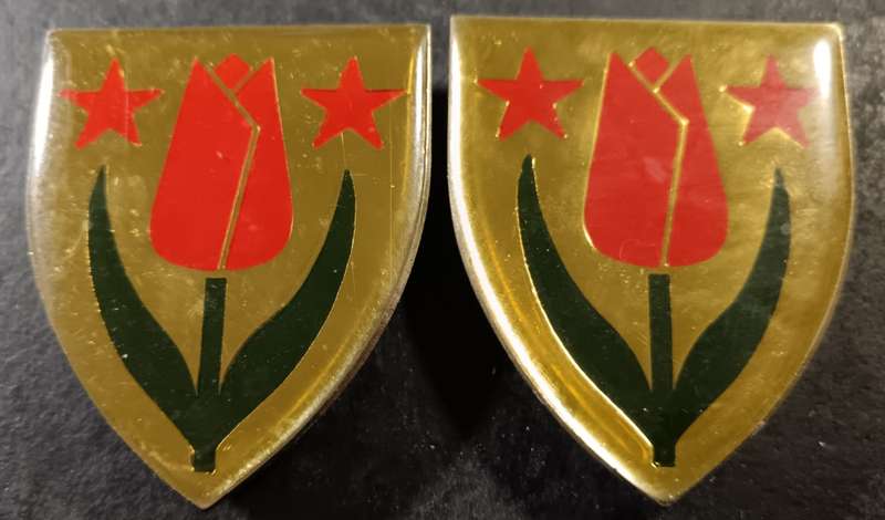 SADF - South West Karoo Commando Shoulder Flash Pair
