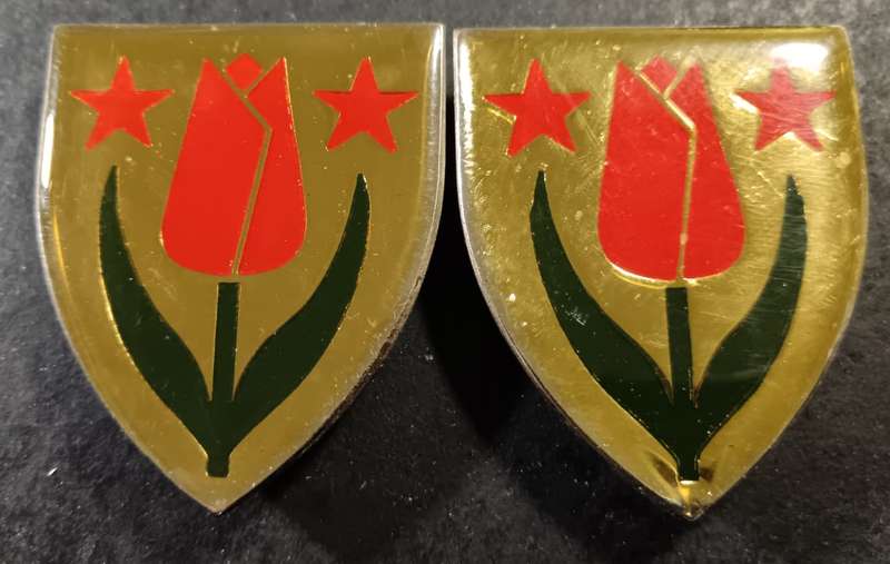 SADF - South West Karoo Commando Shoulder Flash Pair