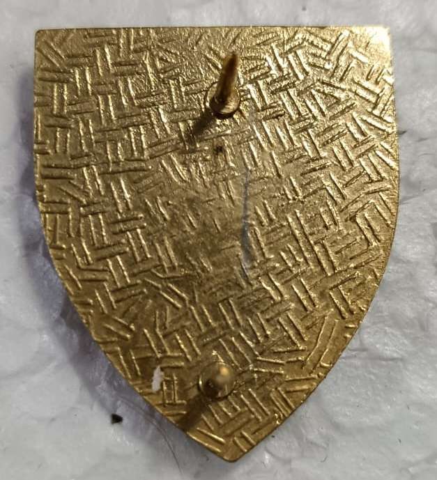 SADF - Engineers Fob Flash