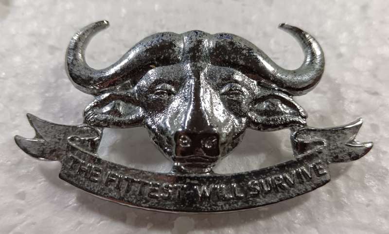 ( Homelands ) Bophutatswana 1 Infantry Battalion Cap Badge