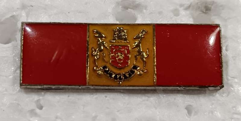 South AFrican Traffic Police Beret Bar