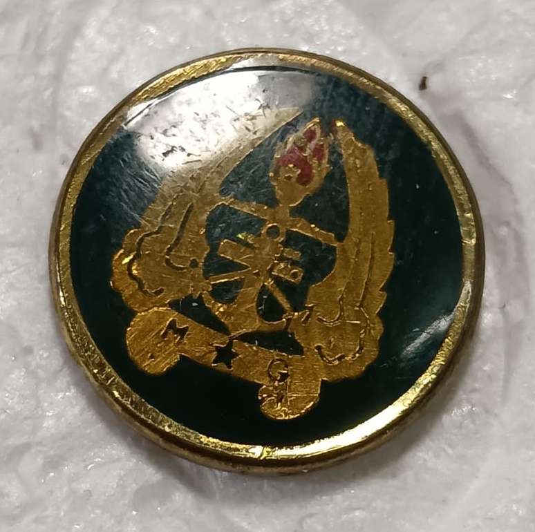 SADF - Army Gymnasium Button Badge