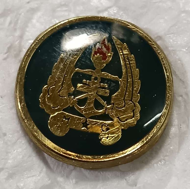 SADF - Army Gymnasium Button Badge