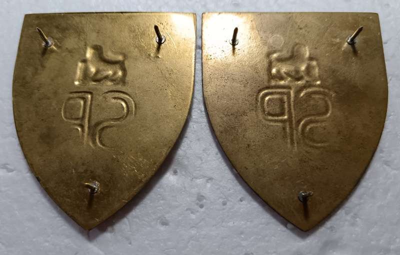 SADF - State Presidents Guard Shoulder Flash Pair