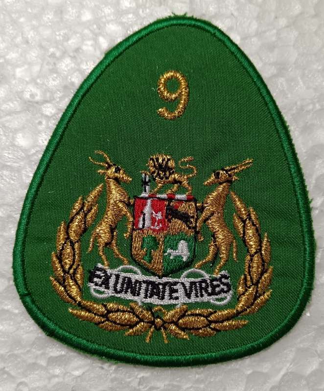 SADF - 9 Division Sergeant Major Rank Badge