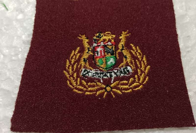 SADF - Medical Services Warrant Officer Rank Badge