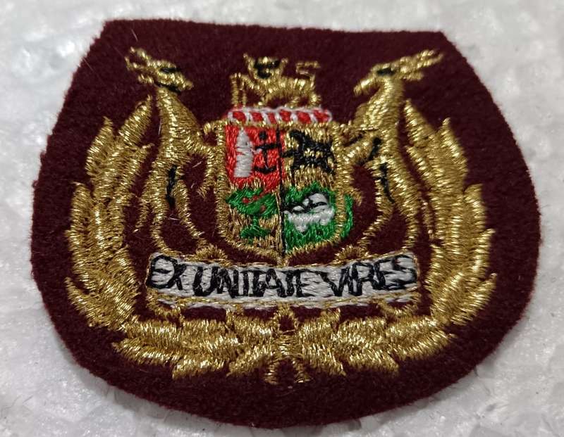 SADF - Medical Services Rank Badge