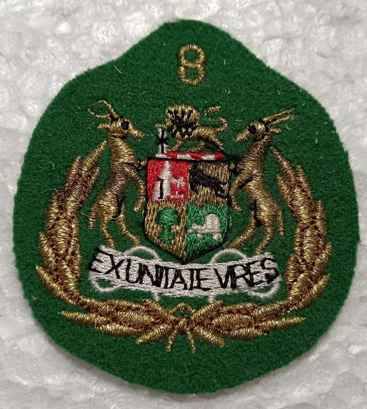 SADF - 8 Division Sergeant Major Rank Badge