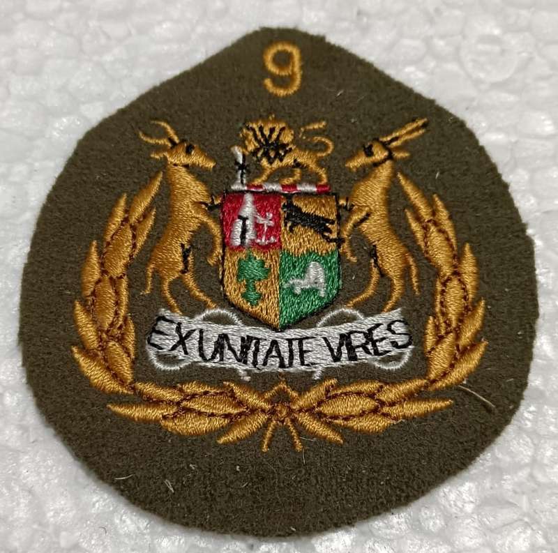 SADF - 9 Divison Seargant Major Rank Badge