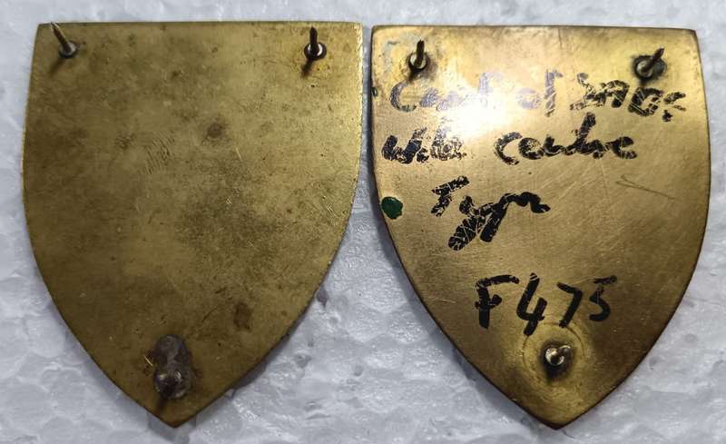 SADF - Chief of SADF Shoulder Flash Pair