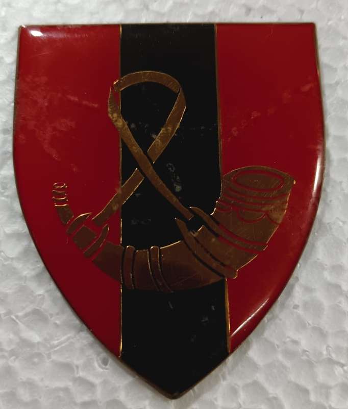 SADF - OFS Command Provost Shoulder Flash