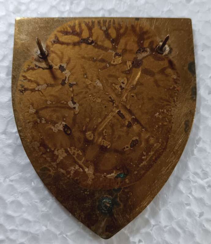 SADF - OFS Command Provost Shoulder Flash