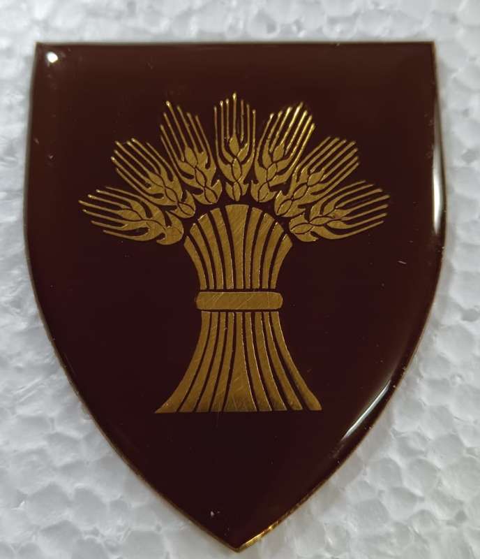 SADF - Bethlehem Commando Shoulder Flash