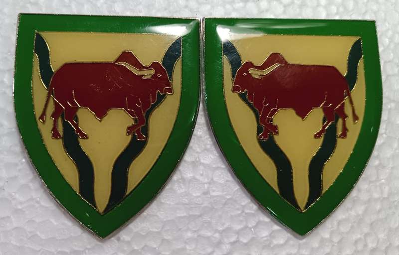 SADF - Theunessin Commando Shoulder Flash Pair