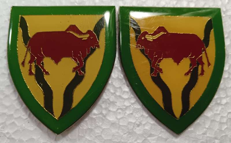 SADF - Theunessin Commando Shoulder Flash Pair