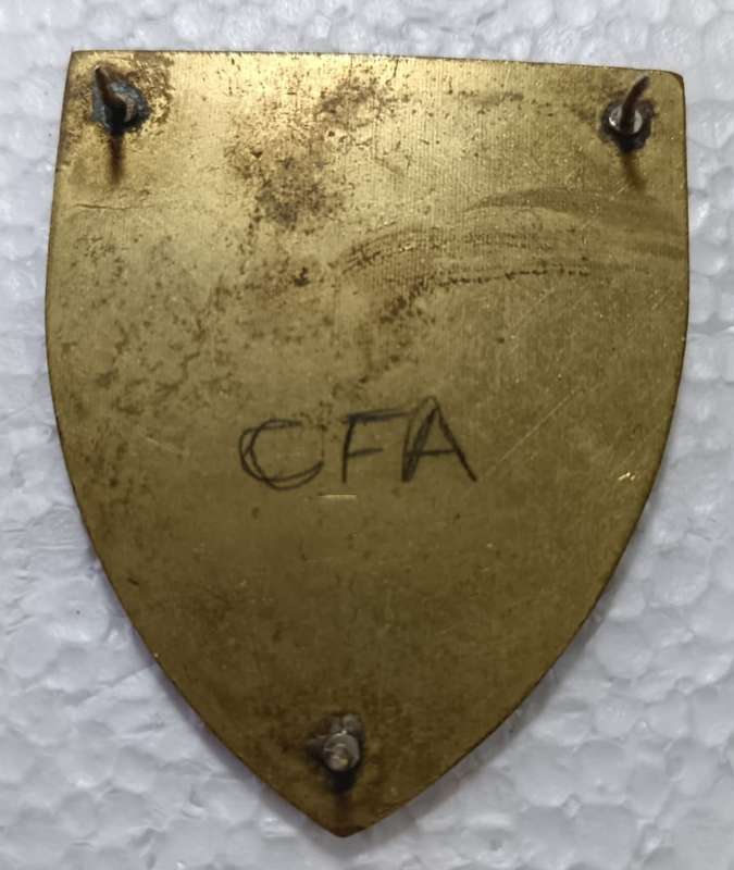 SADF - Cape Field Artillery Shoulder Flash