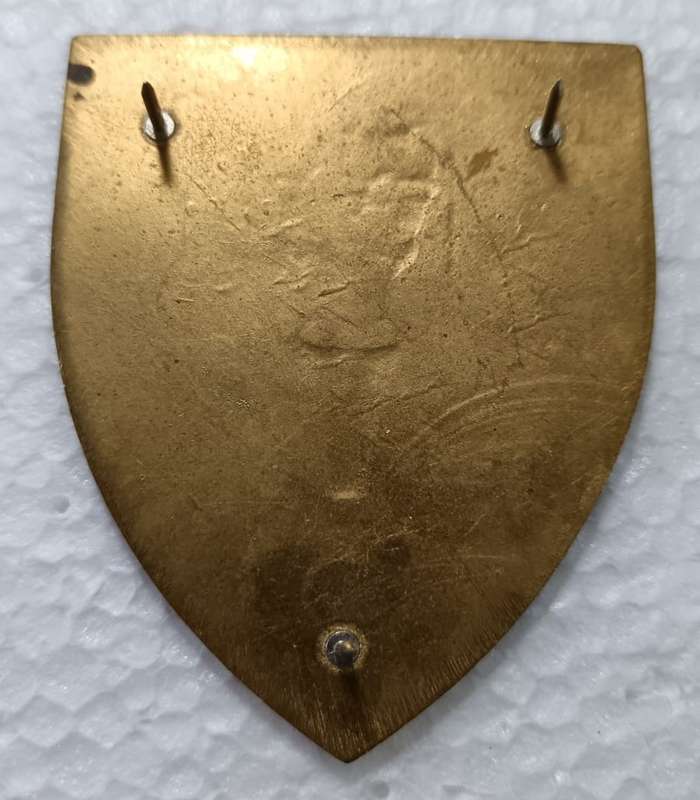 SADF - Ordnance Shoulder Flash