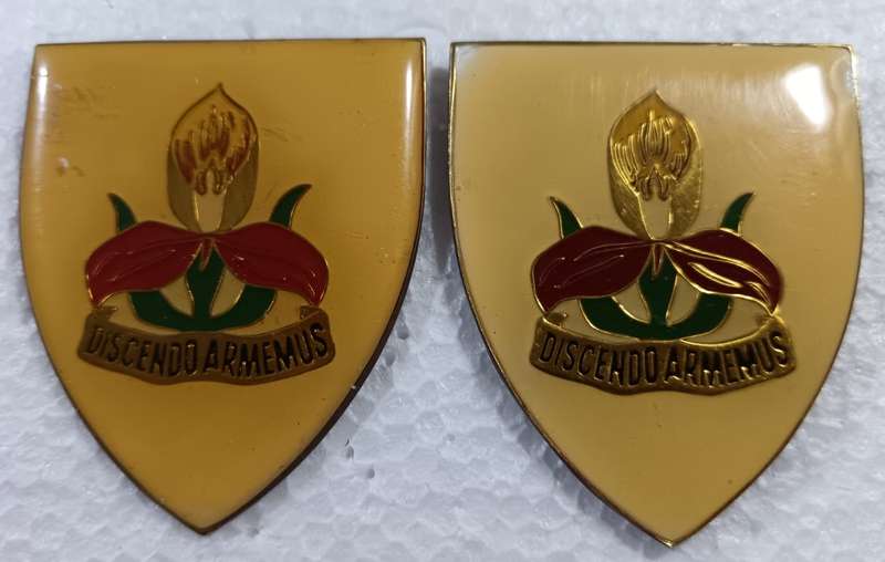 SADF - Military Academy Shoulder Flash Pair