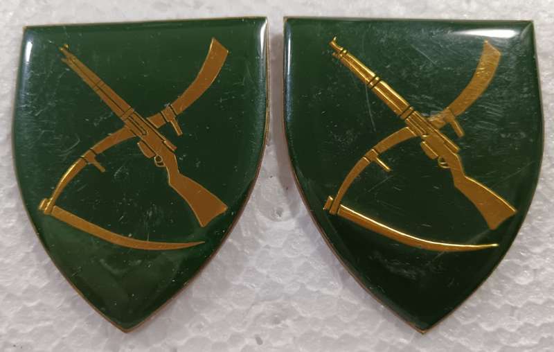 SADF - Skiereiland Commando Shoulder Flash Pair
