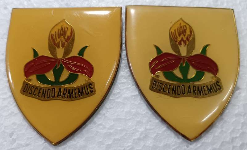 SADF - Military Academy Shoulder Flash Pair