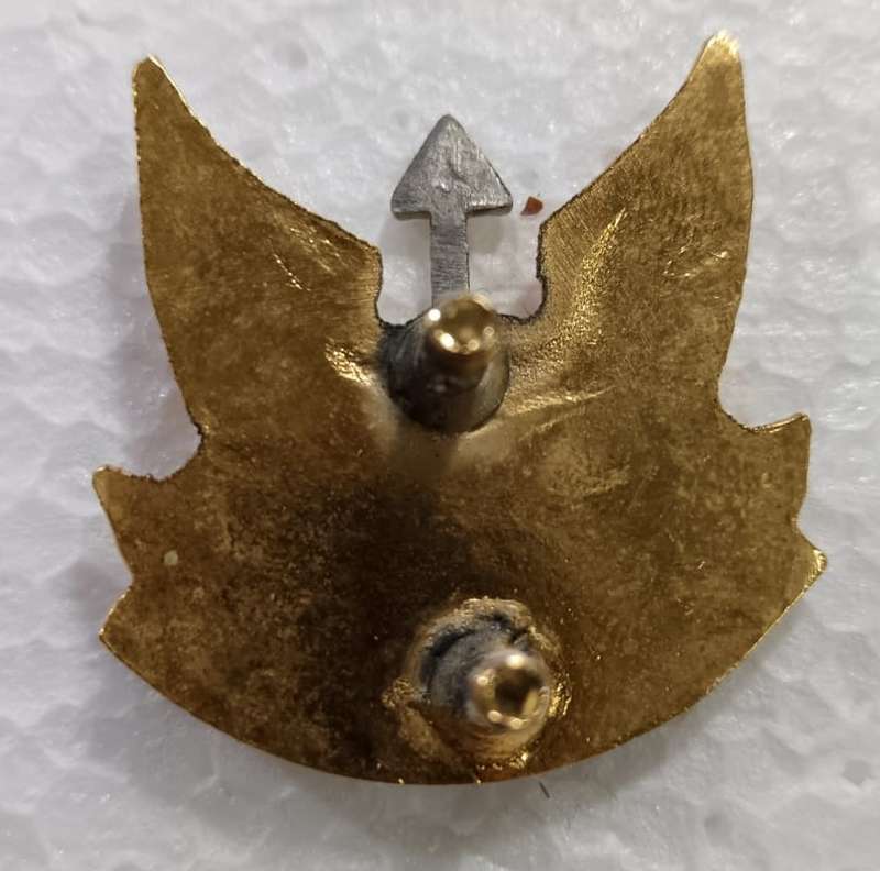 SADF - Wemmerpan Commando Cap Badge
