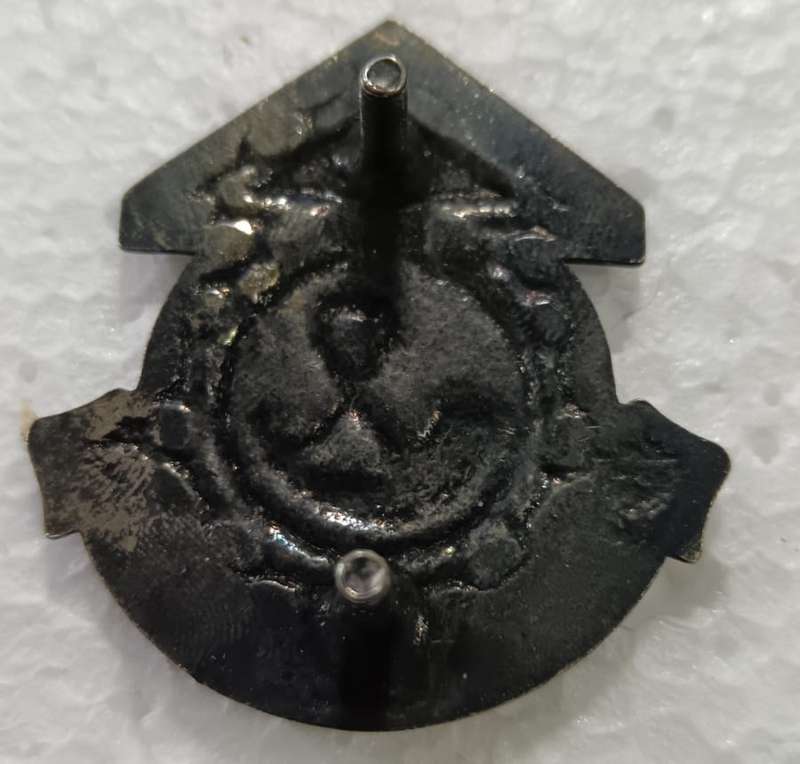 SADF - OFS Command Maintenance Cap Badge