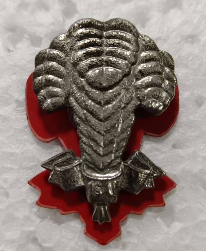 SADF - 1 SA Infantry Cap Badge