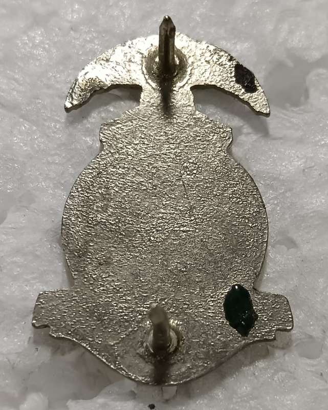 SADF - Regiment Mooi River Collar/Cap Badge