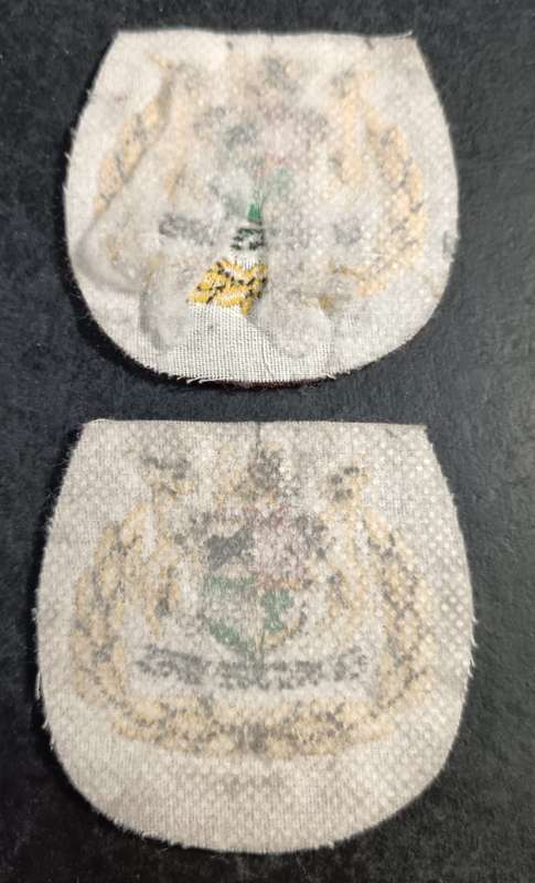 SADF - Army Warrent Officer Rank Pair