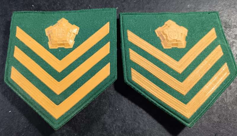 South African Correctional/Prison Ranks