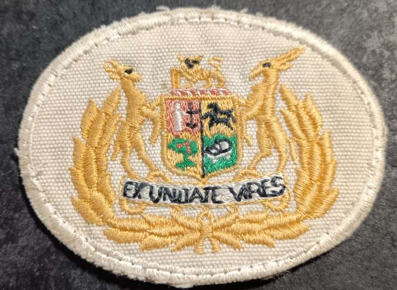 SADF - Navy Warrant Officer Rank Badge