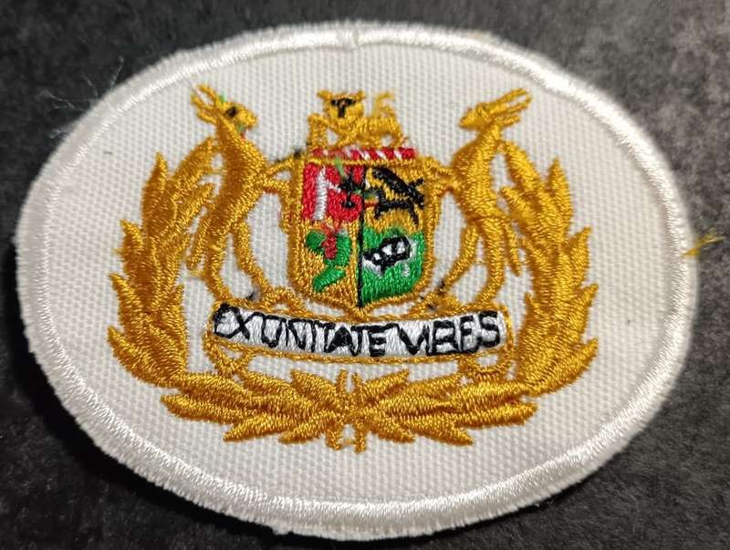 SADF - Navy Warrant Officer Rank Badge