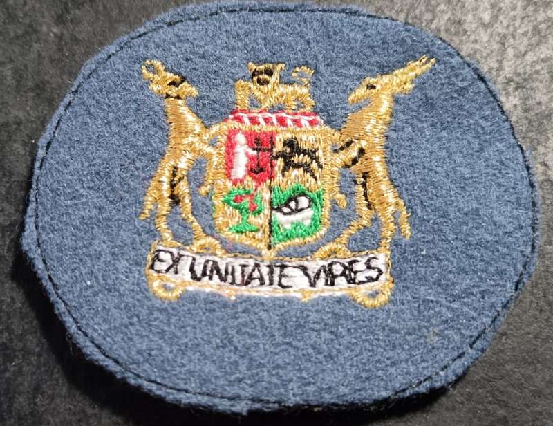 SADF - SAAF Warrant Officer Rank Badge