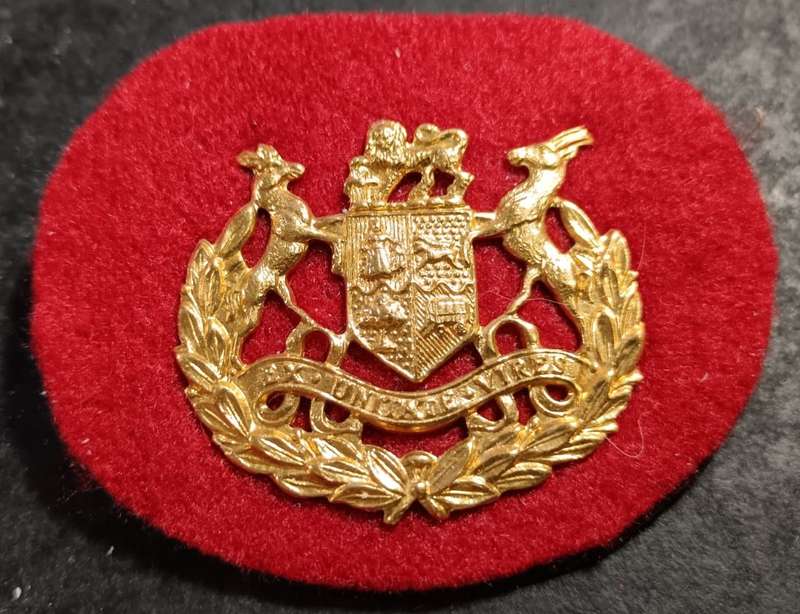 SADF - Army Warrant Officer Rank Badge