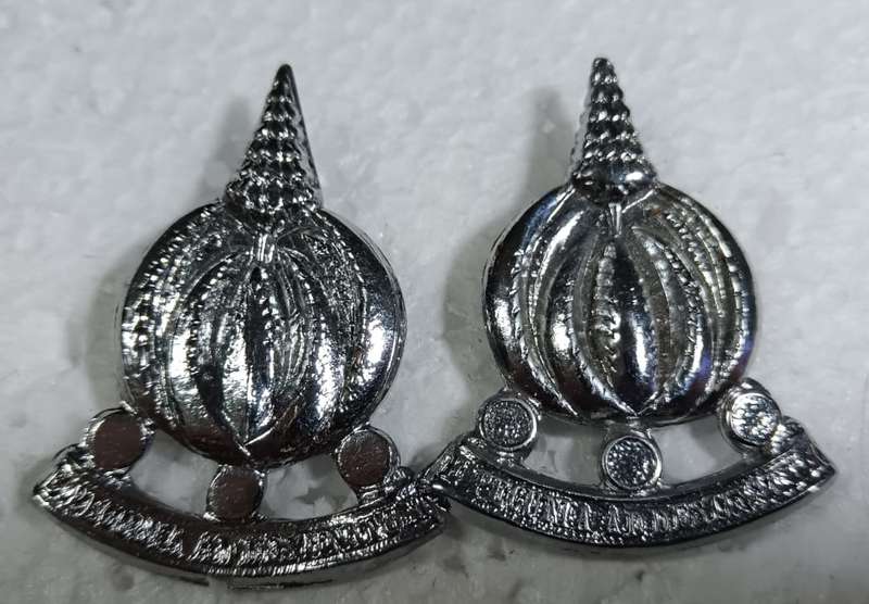 SADF - Pair of Finance Cap Badge