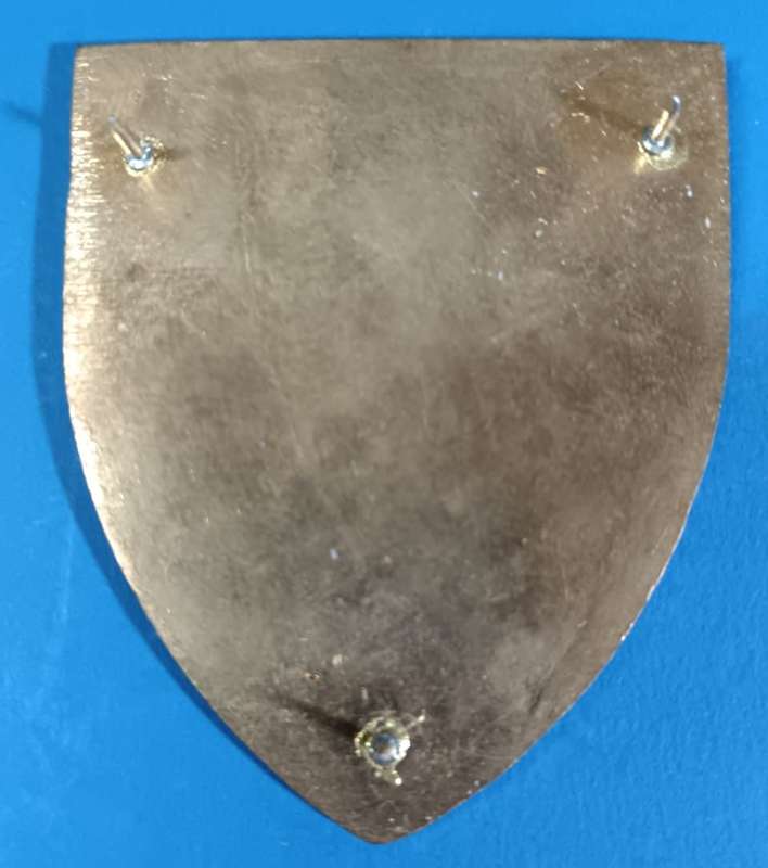 SADF - Medical Depot Shoulder Flash