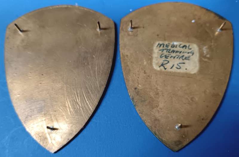 SADF - Medical Training Centre Shoulder Flash Pair