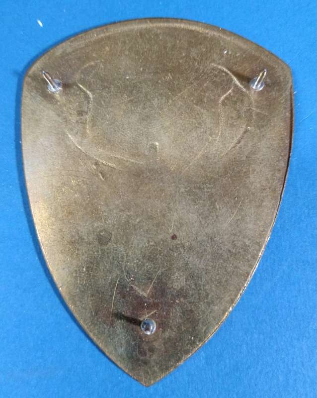 SADF - 3 Military Hospital Shoulder Flash