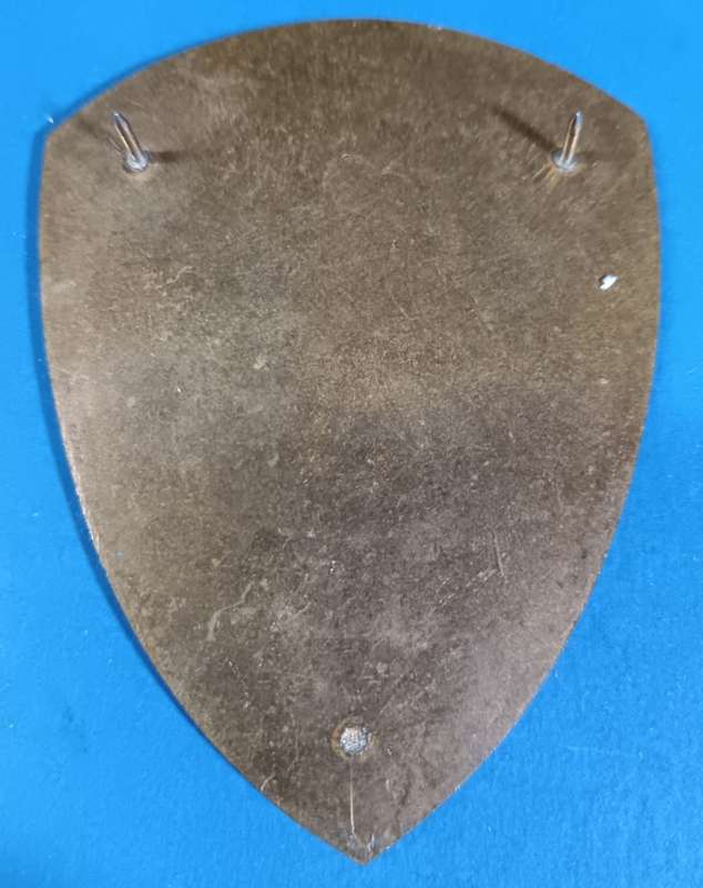 SADF - Medical Training Centre Shoulder Flash