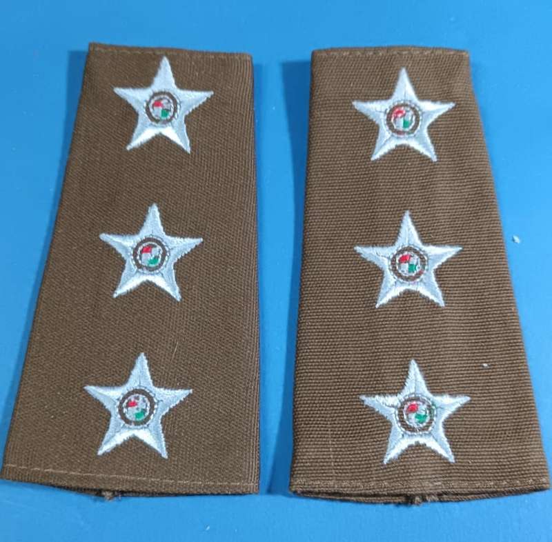 SA Army Captain Slip on Ranks