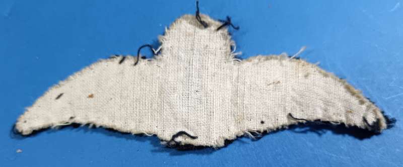 World War One Era South African Pilot Wings